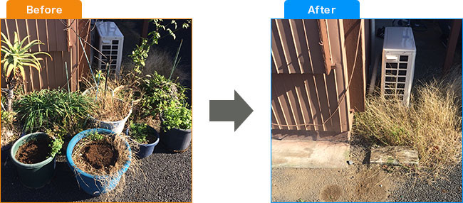 庭植木処分・観葉植物処分・土・プランター処分 Before,After 1